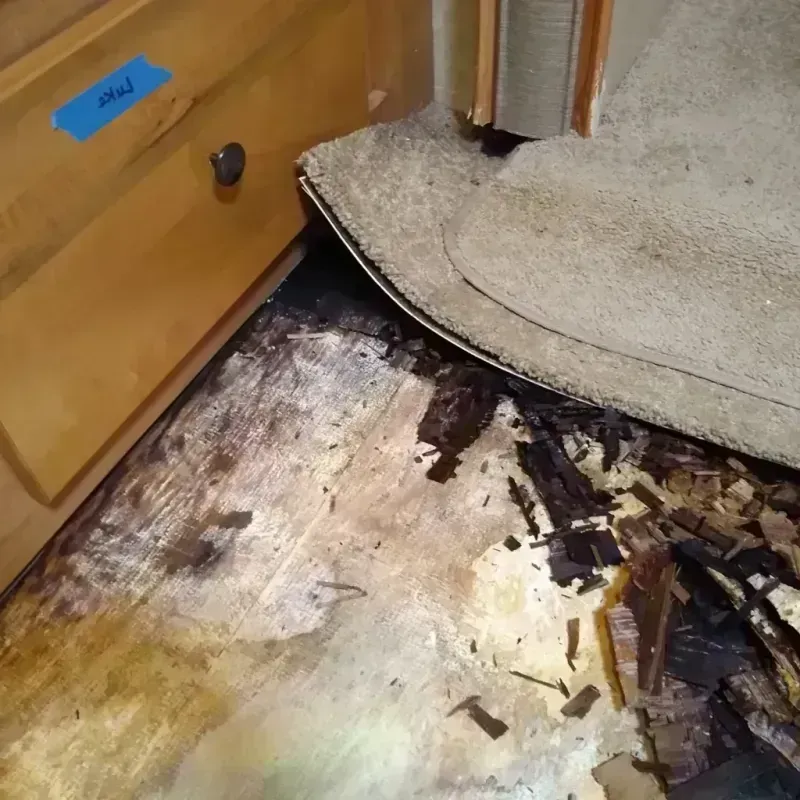 Best Wood Floor Water Damage Service in Cornwall, NY